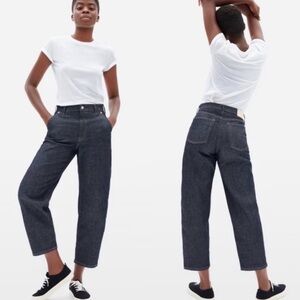 Everlane The Arc Jean Blue Indigo Denim Barrel Jeans 30